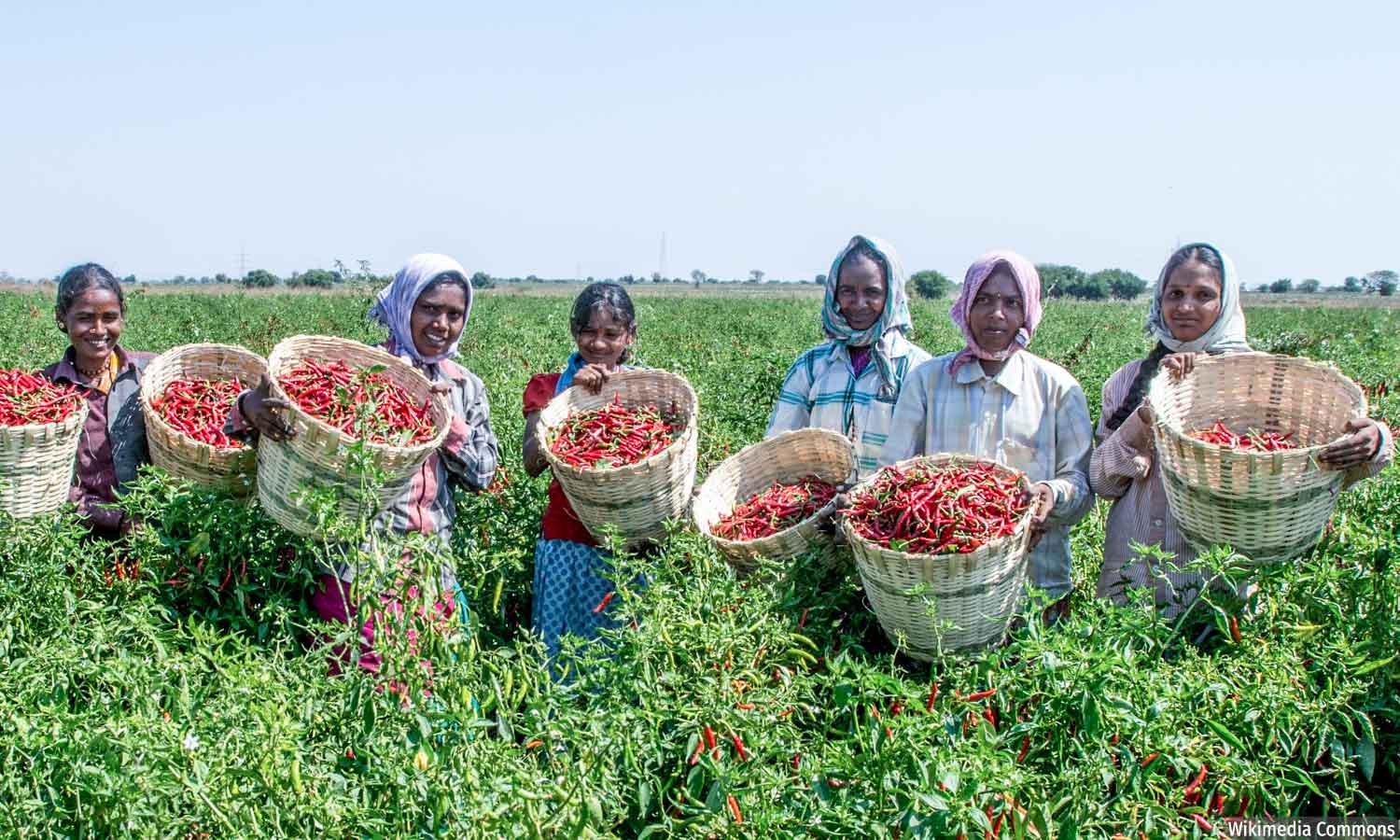 A Digital Command Center for Farmers