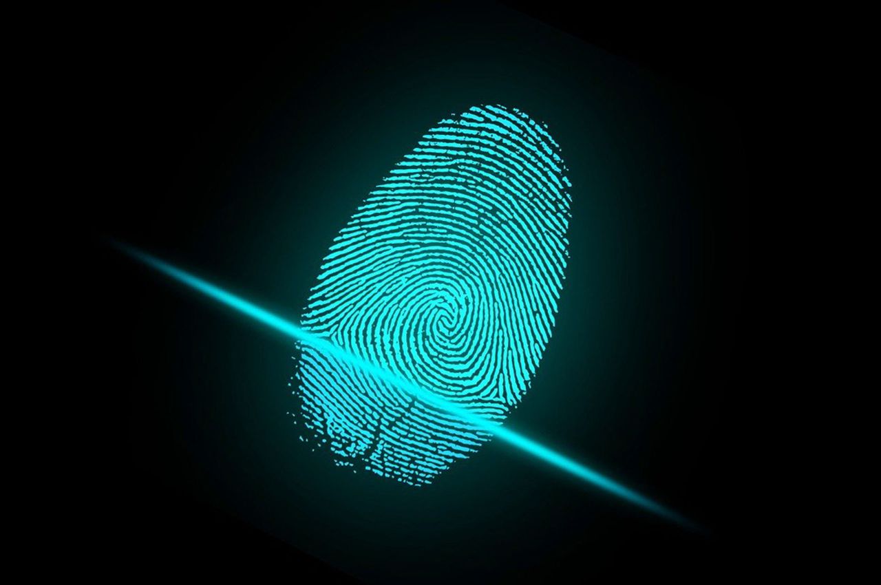 Fingerprint Scanners Touch Your Way to Security​