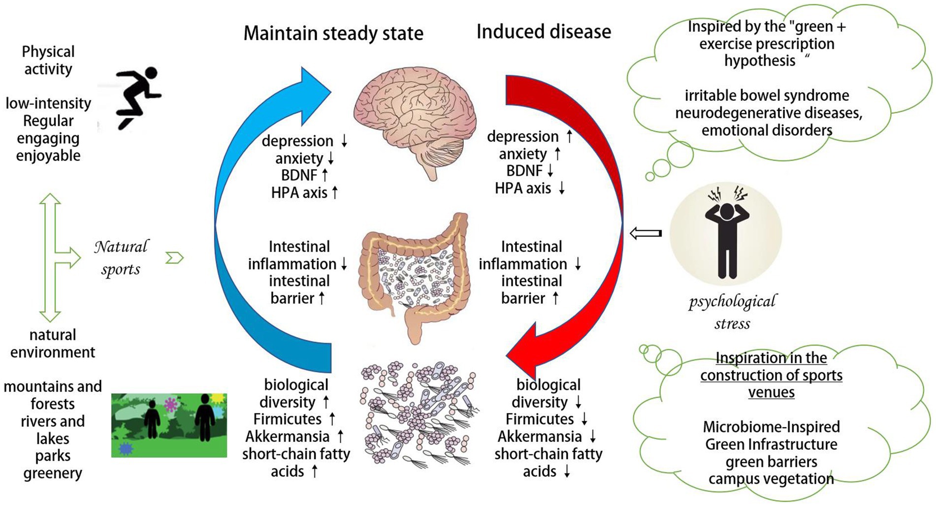 Practical Steps to Integrating Physical Activity for Mental Well being​