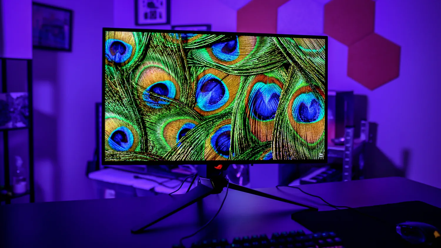 High-Resolution Monitors for a Better Visual Experience​