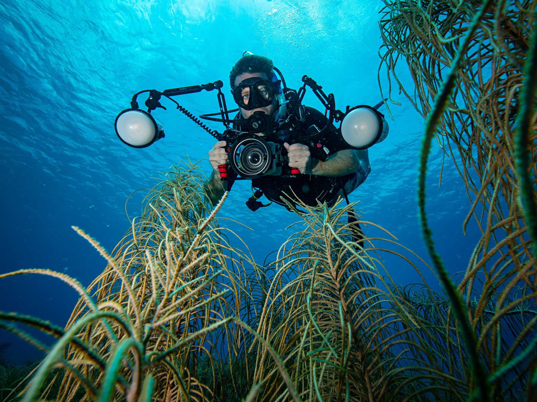 Types of Underwater Cameras What Are Your Options?​